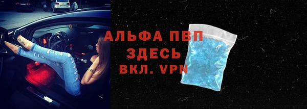крисы Медвежьегорск