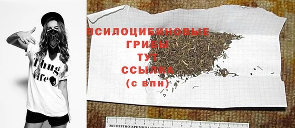 крисы Медвежьегорск