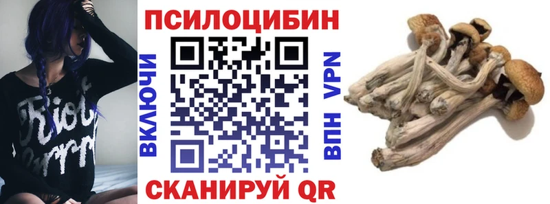 Галлюциногенные грибы прущие грибы  купить наркотики сайты  Дубна 