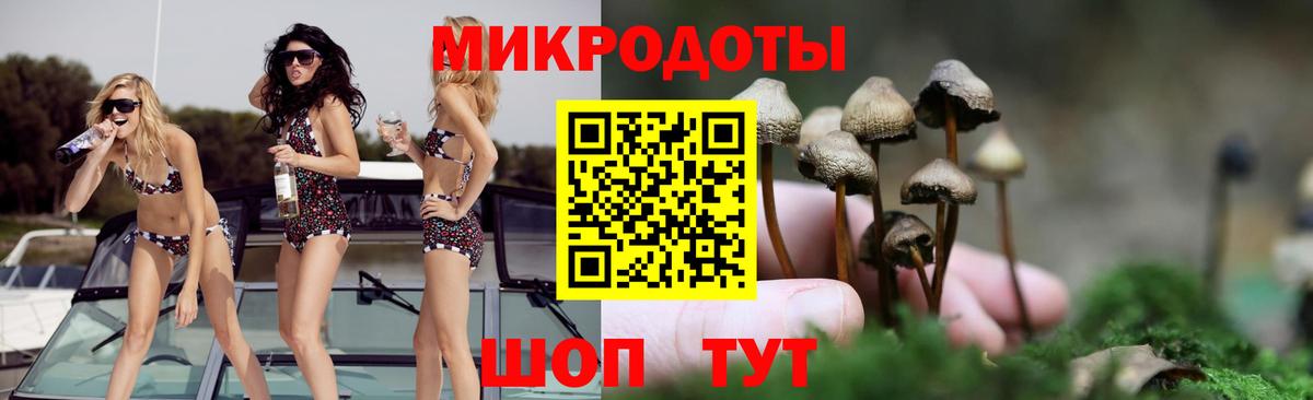 ГАШИШ Дубна