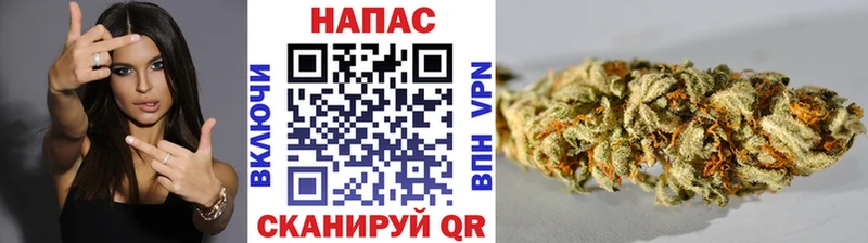 даркнет сайт  Дубна  MEGA маркетплейс  Марихуана SATIVA & INDICA 